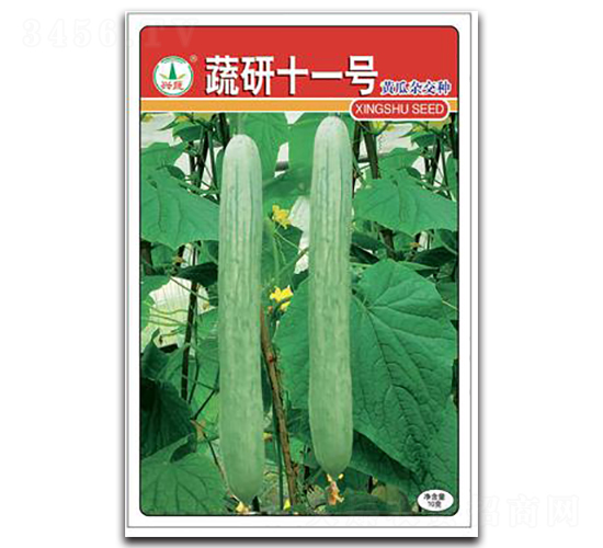 蔬研11號-黃瓜種子-興蔬種業(yè)