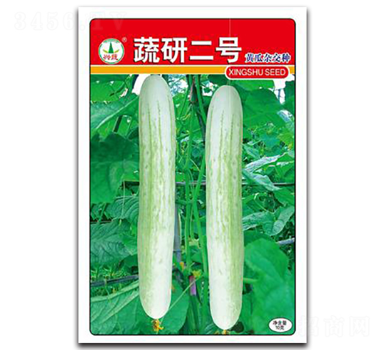 蔬研2號(hào)-黃瓜種子-興蔬種業(yè)
