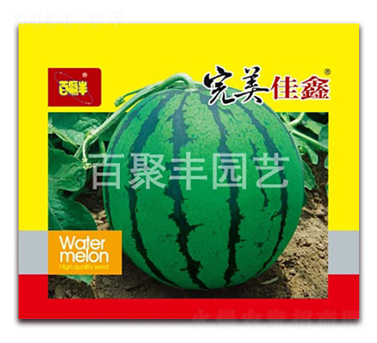 ��������-���ϷN��-�پ��S