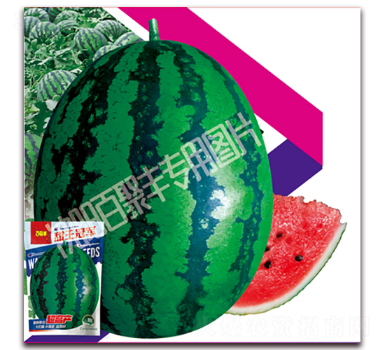 ������܊-���ϷN��-�پ��S