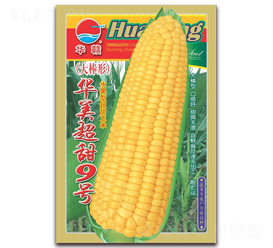 華美超甜九號-甜玉米種子-華農(nóng)種業(yè)