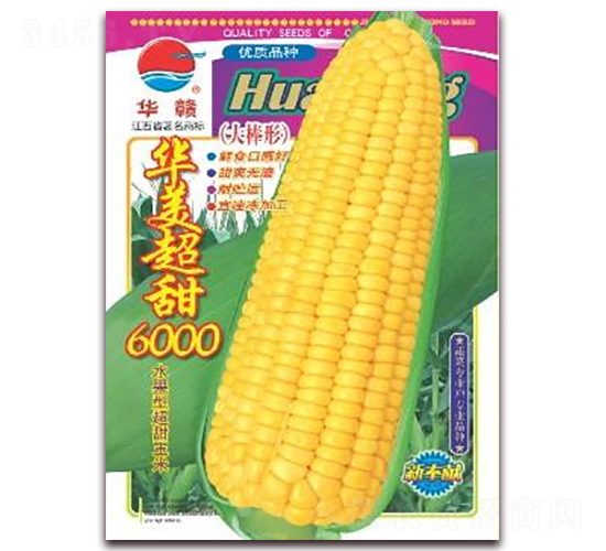 華美超甜6000-甜玉米種子-華農(nóng)種業(yè)