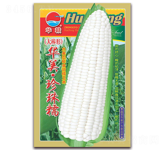 華美珍珠糯-糯玉米種子-華農(nóng)種業(yè)