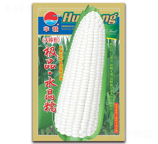 極品水晶糯-糯玉米種子-華農(nóng)種業(yè)