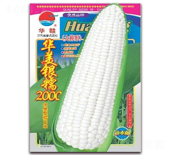 華美銀糯2000-糯玉米種子-華農(nóng)種業(yè)