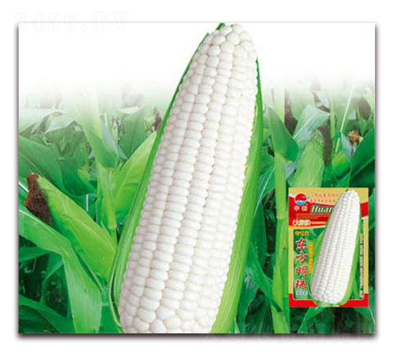 �|������-Ŵ���׷N��-�A�r(n��ng)�N�I(y��)