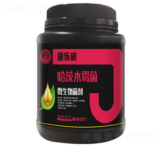 ����ľù��-������-�η�