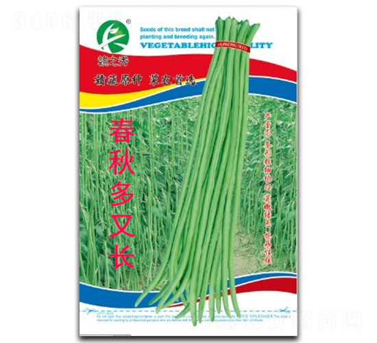 春秋多又長(zhǎng)-豇豆種子-贛蔬種業(yè)