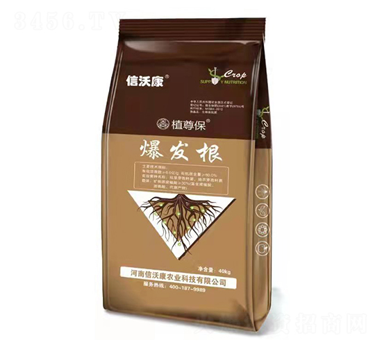 ���l(f��)��-ֲ��-���ֿ�