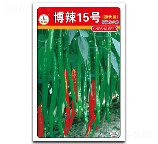 ����15̖-�����N��-�d�߷N�I(y��)