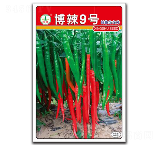 ����9̖(h��o)-�����N��-�d�߷N�I(y��)