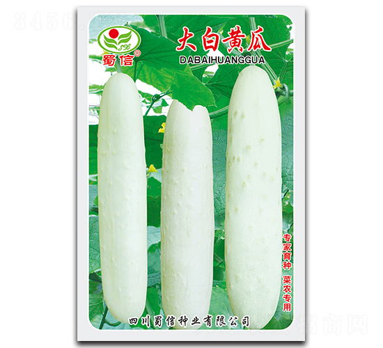 大白黃瓜-黃瓜種子-蜀信種業(yè)