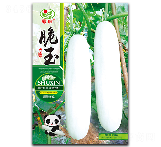 脆玉-黃瓜種子-蜀信種業(yè)