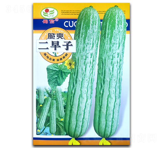脆爽二早子-黃瓜種子-蜀信種業(yè)