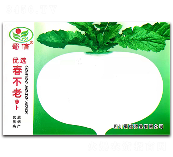 優(yōu)選春不老-蘿卜種子-蜀信種業(yè)