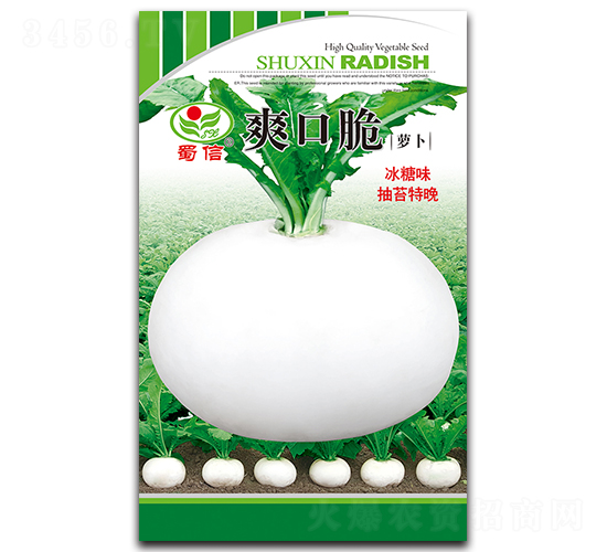 爽口脆-蘿卜種子-蜀信種業(yè)