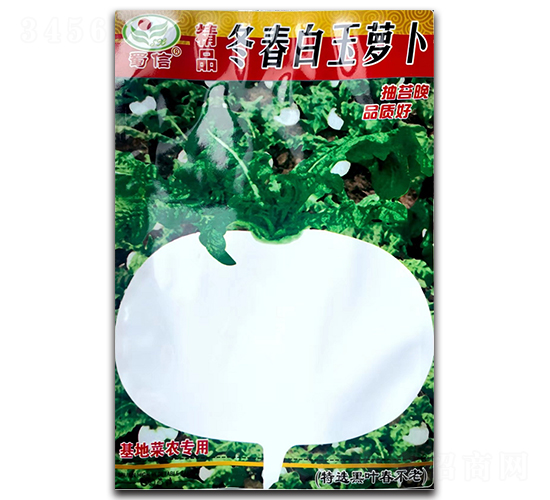 精品冬春白玉蘿卜-蘿卜種子-蜀信種業(yè)