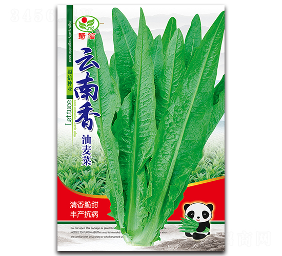 云南香-油麥菜種子-蜀信種業(yè)