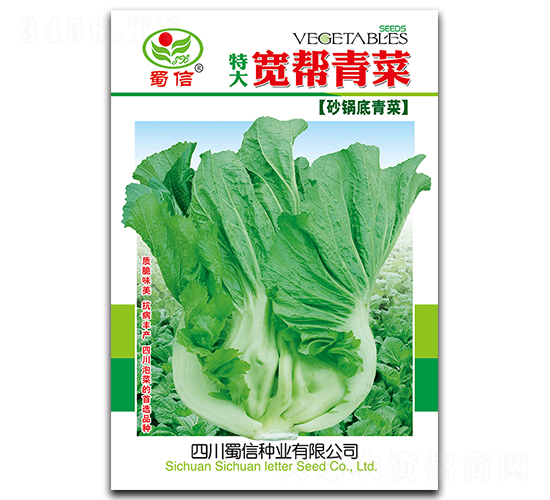 寬幫青菜-青菜種子-蜀信種業(yè)