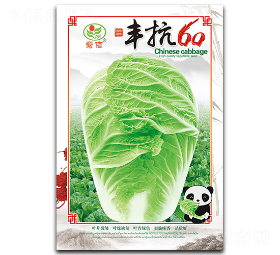 豐抗60-白菜種子-蜀信種業(yè)