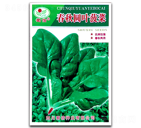 春秋圓葉菠菜-菠菜種子-蜀信種業(yè)