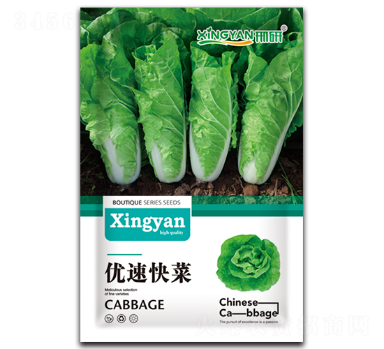 優(yōu)速快菜-青菜種子-邢研種業(yè)