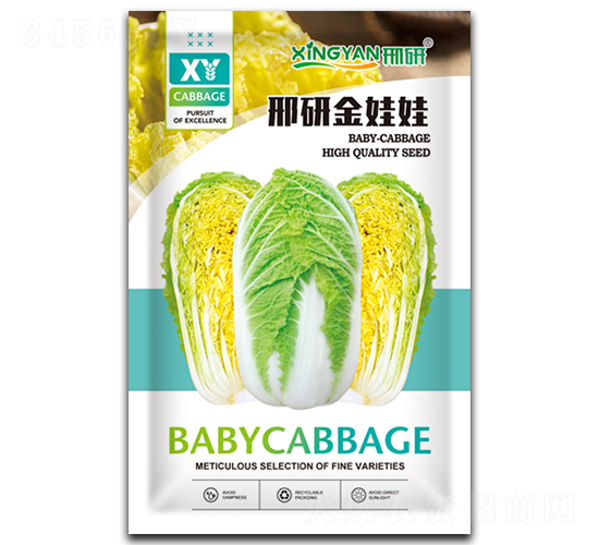 邢研金娃娃-娃娃菜種子-邢研種業(yè)