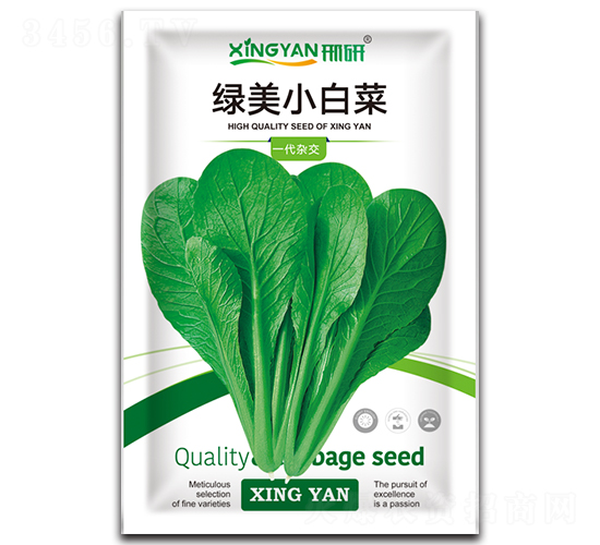 綠美小白菜-小白菜種子-邢研種業(yè)