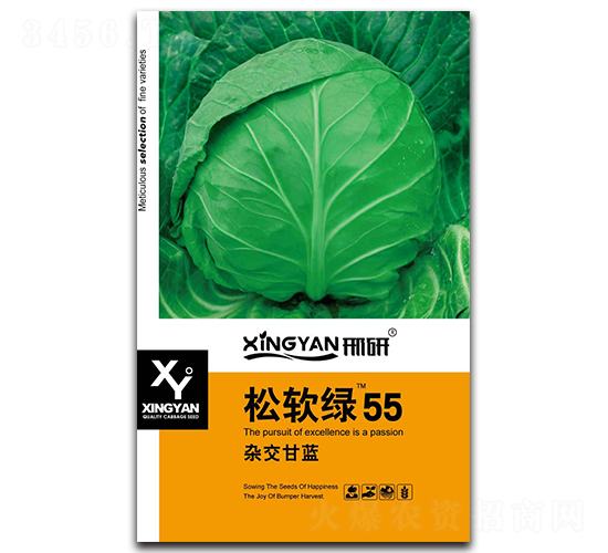 松軟綠55-甘藍(lán)種子-邢研種業(yè)
