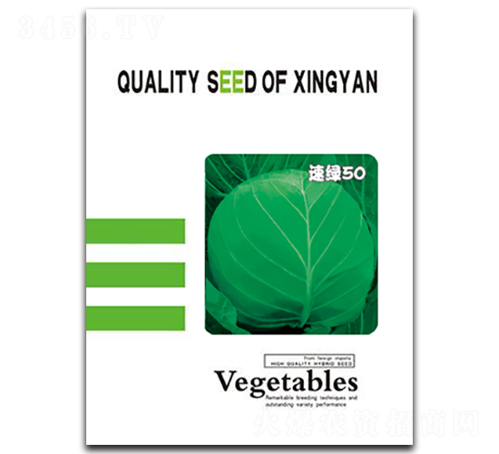 速綠50-甘藍(lán)種子-邢研種業(yè)