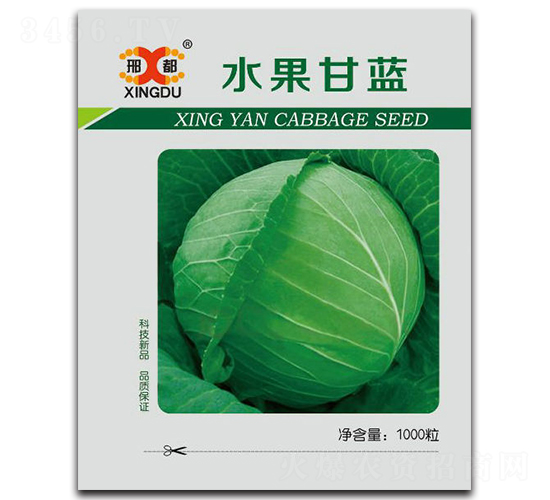 水果甘藍(lán)-甘藍(lán)種子-邢研種業(yè)
