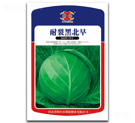 耐裂黑北早-甘藍種子-邢研種業(yè)