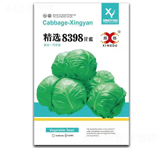 精選8398-甘藍(lán)種子-邢研種業(yè)