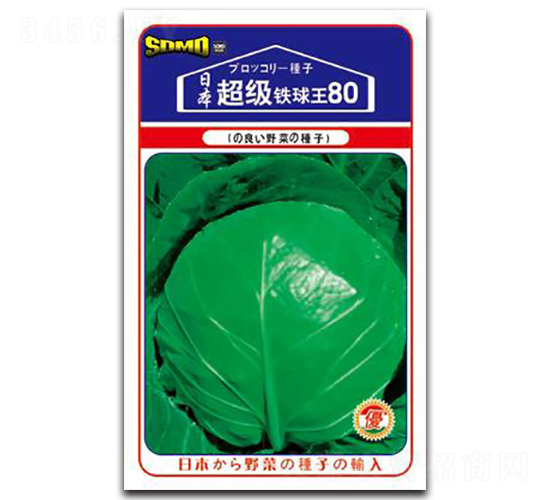 超級(jí)鐵球王80-甘藍(lán)種子-邢研種業(yè)