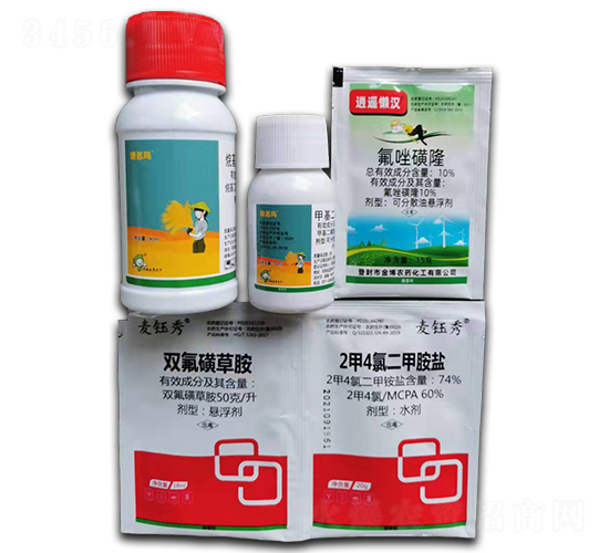 С�����݄��ײ�-�S�՘�