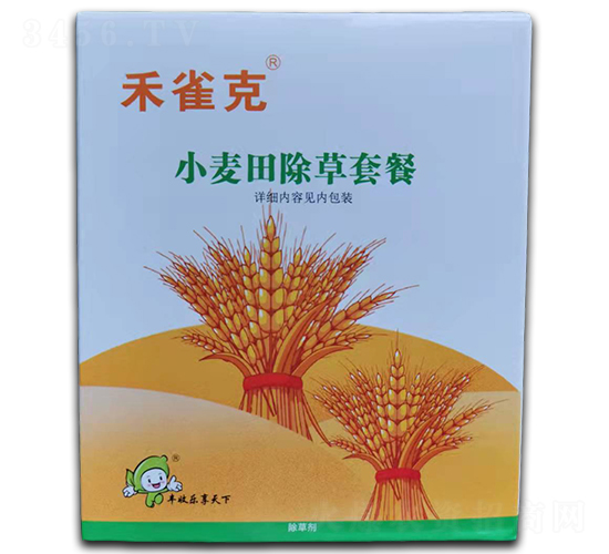 С�������ײ�-��ȸ��-�S�՘�