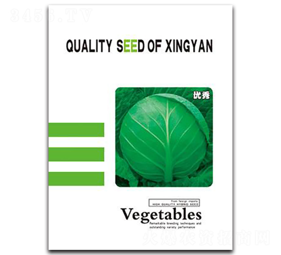 優(yōu)秀-甘藍(lán)種子-邢研種業(yè)
