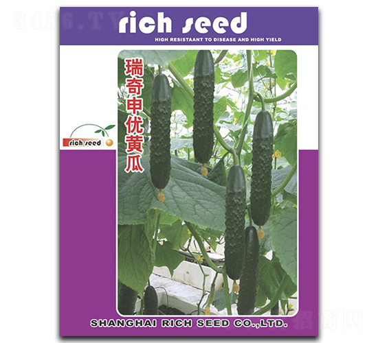 瑞奇申優(yōu)黃瓜-黃瓜種子-瑞奇種業(yè)