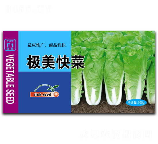 極美快菜-白菜種子-瑞奇種業(yè)