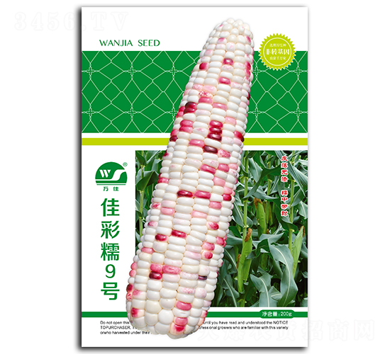 佳彩糯9號(hào)-玉米種子-瑞奇種業(yè)