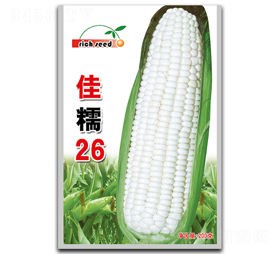 ��Ŵ26-���׷N��-����N�I(y��)