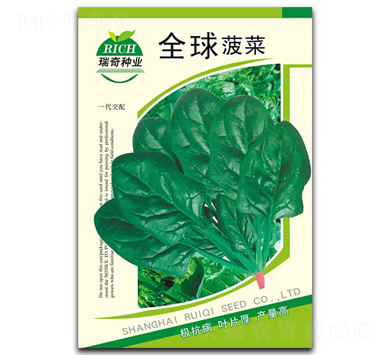 全球菠菜-菠菜種子-瑞奇種業(yè)