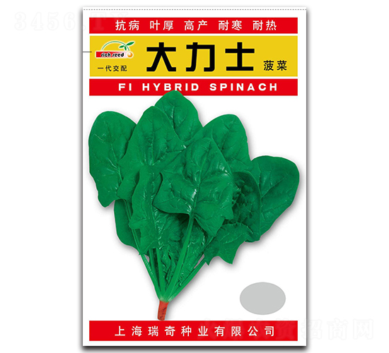 大力士-菠菜種子-瑞奇種業(yè)