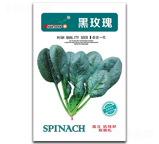 黑玫瑰-菠菜種子-瑞奇種業(yè)