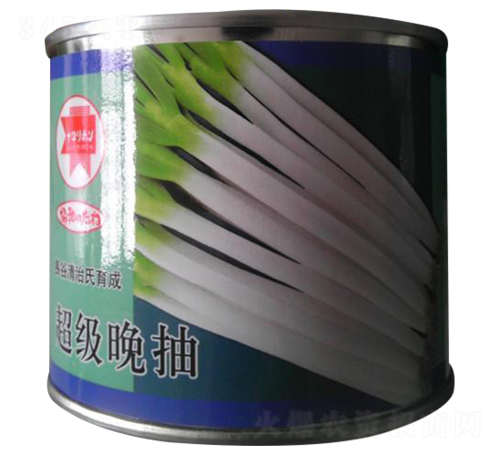 超級晚抽-大蔥種子-瑞奇種業(yè)