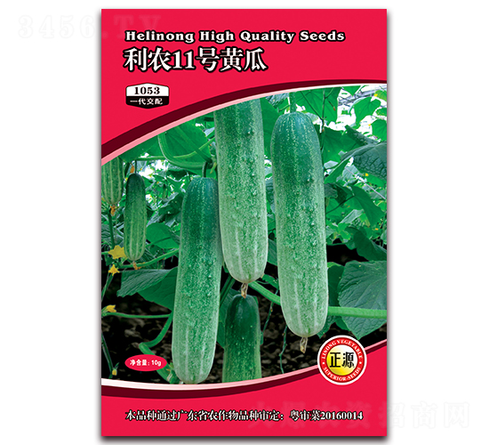 利農(nóng)11號(hào)黃瓜（1053）-黃瓜種子-和利農(nóng)