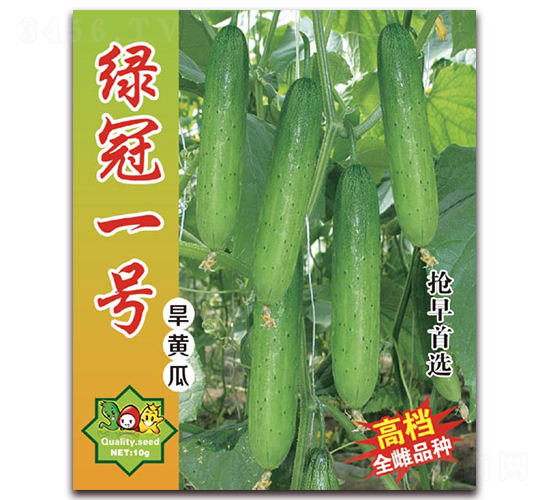 綠冠一號(hào)-黃瓜種子-美好種苗