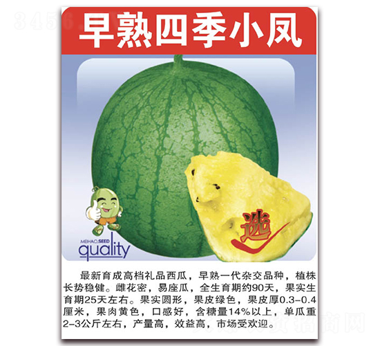 早熟四季小鳳-西瓜種子-美好種苗