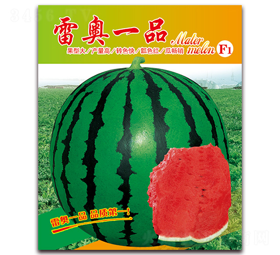 雷奧一品-西瓜種子-美好種苗