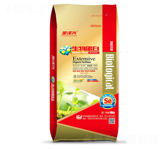 ���ﵰ���ЙC��-����d-��ʢ�ʘI(y��)